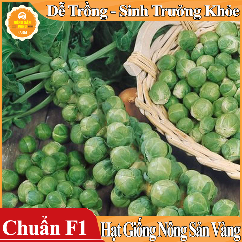 Hạt giống Bắp Cải Tí Hon Xanh - Nông Sản Vàng