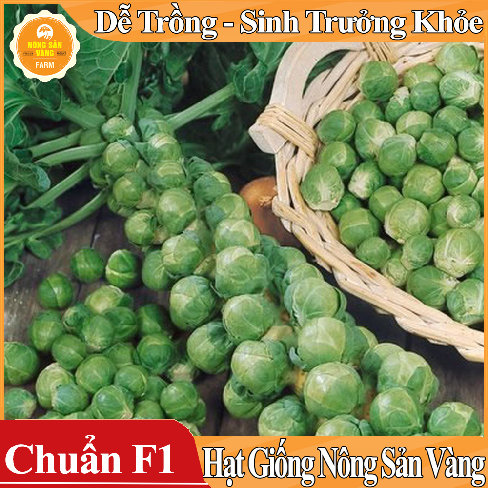 Hạt giống Bắp Cải Tí Hon Xanh ( Gói 100 hạt ) - Nông Sản Vàng