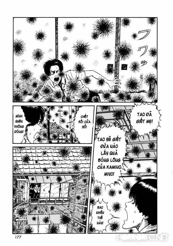 tuyển tập truyện ngắn kinh dị của ito junji chapter 14.4 43
