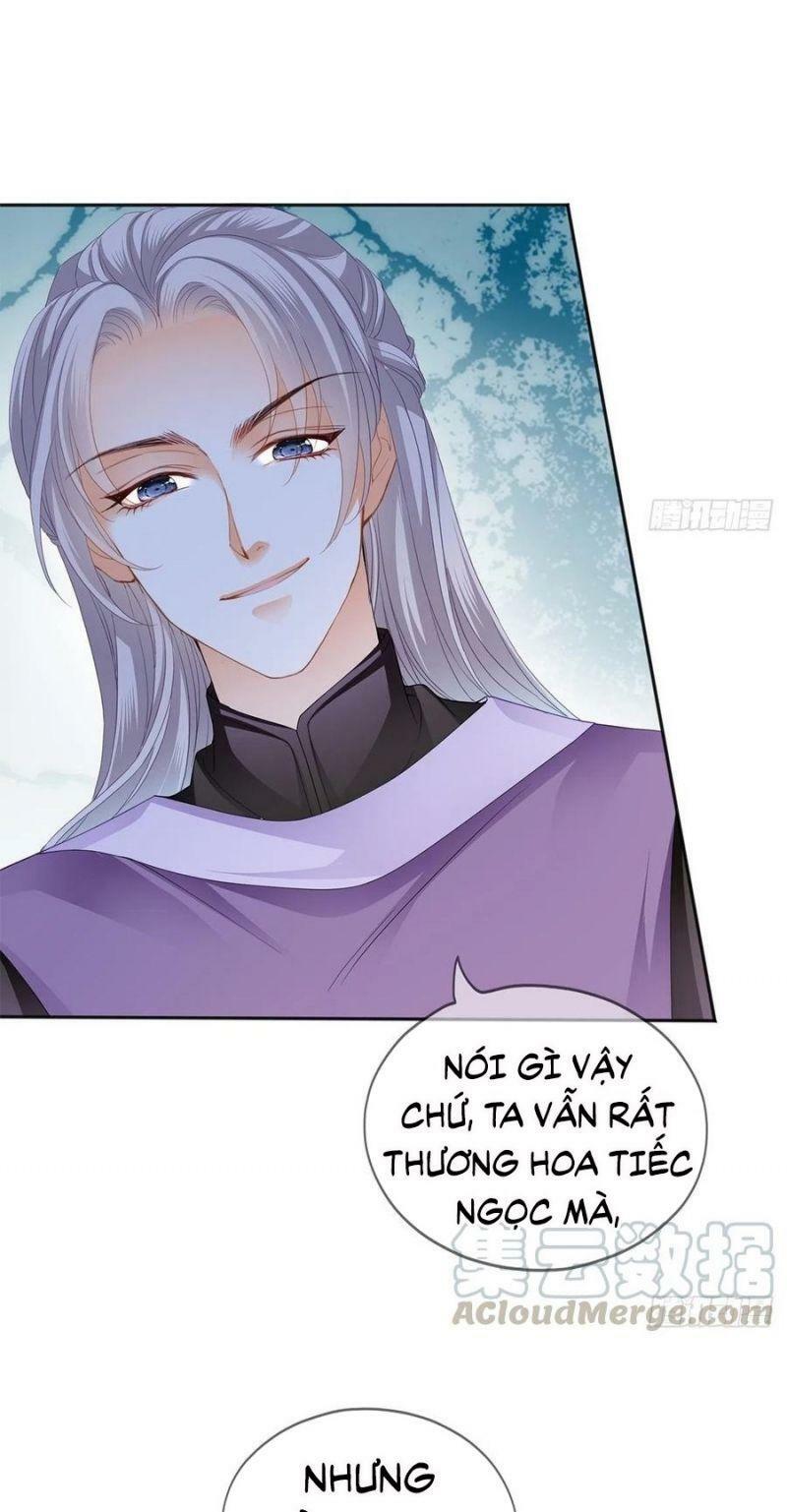 bổn vương muốn nàng chapter 25 12