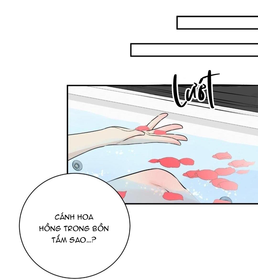 hạnh phúc trọn vẹn chapter 22 35