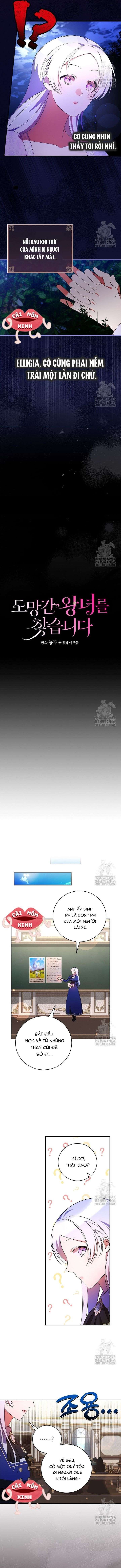 đi tìm nàng công chúa bỏ trốn chapter 31 3