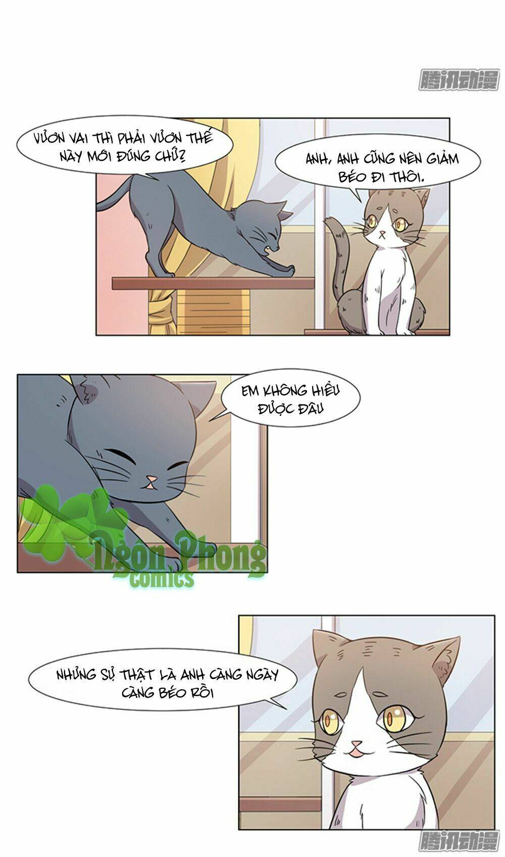 hai chú mèo totem chapter 31 6