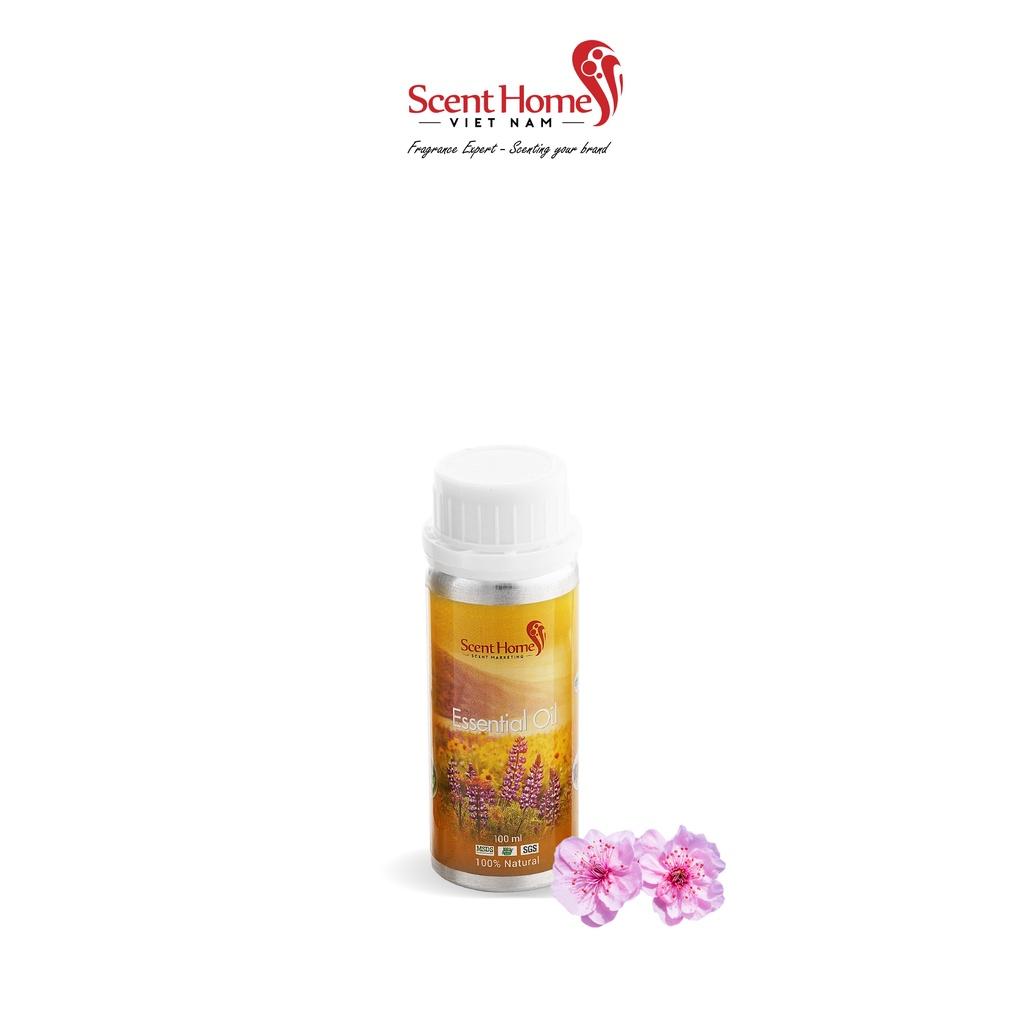 Tinh dầu Scent Homes - mùi hương