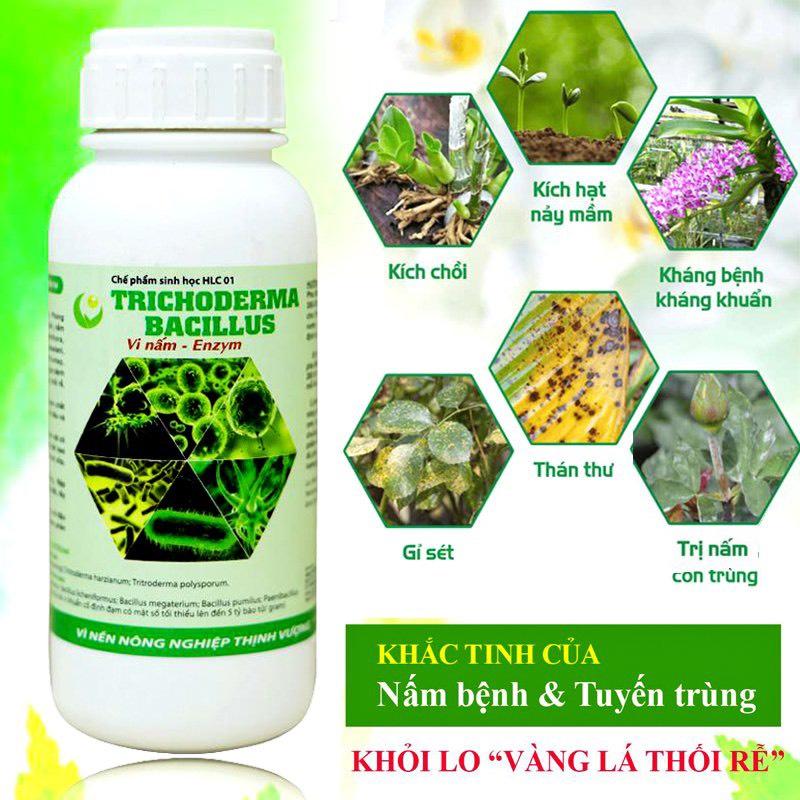 CHẾ PHẨM TRICHODERMA BACILLUS CAHI DẠNG NƯỚC 100ml , ỨC CHẾ NÂM, KHẮC TINH CỦA NẤM BỆNH , VÀNG LÁ THỐI RỄ