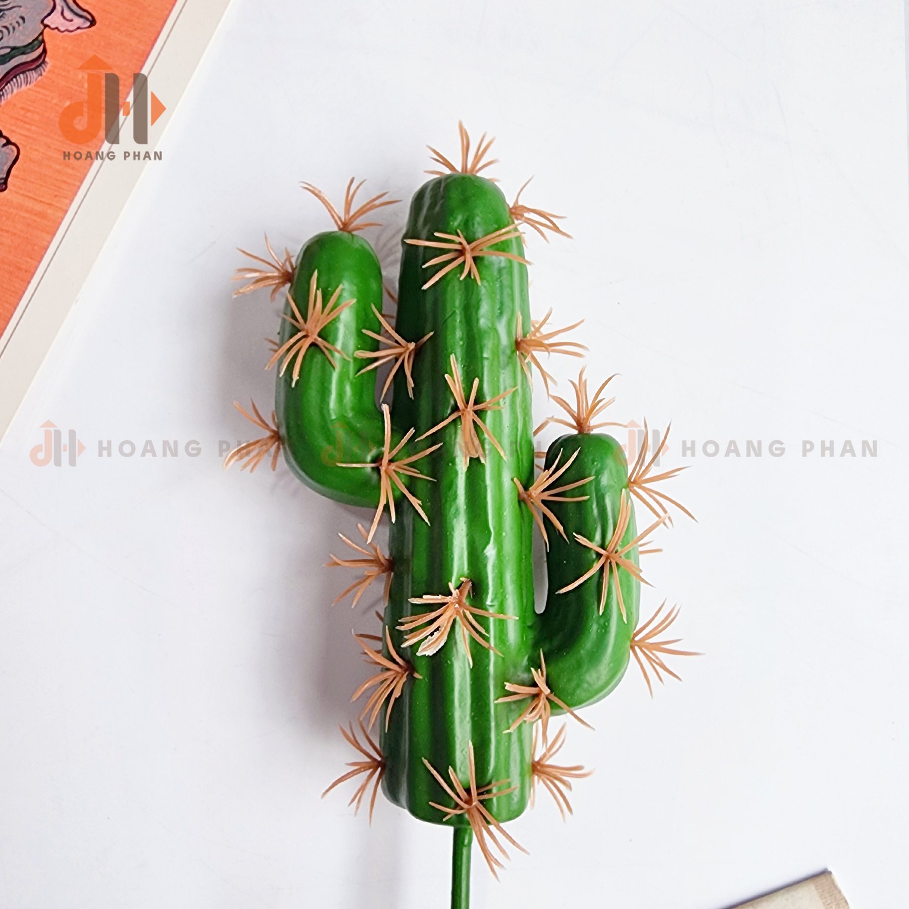 Trụ xương rồng trụ đất nung vĩnh cửu trang trí