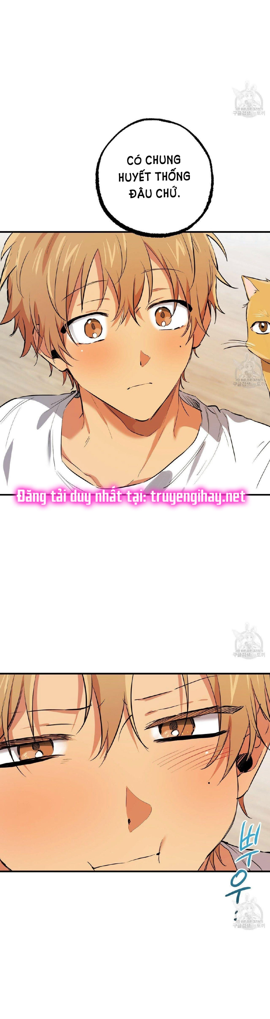 những chú thỏ của hapypy chapter 51.2 12