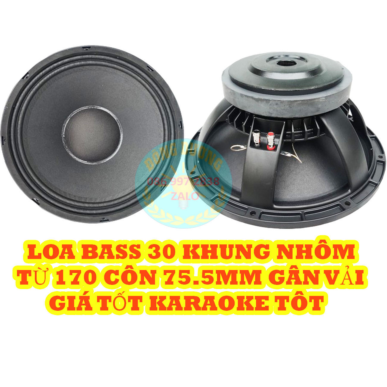 CỦ LOA KARAOKE NGHE NHẠC BASS 30 ( 3 TẤC ) TỪ 170 CÔN 76MM KHUNG NHÔM CHẮC CHẮN