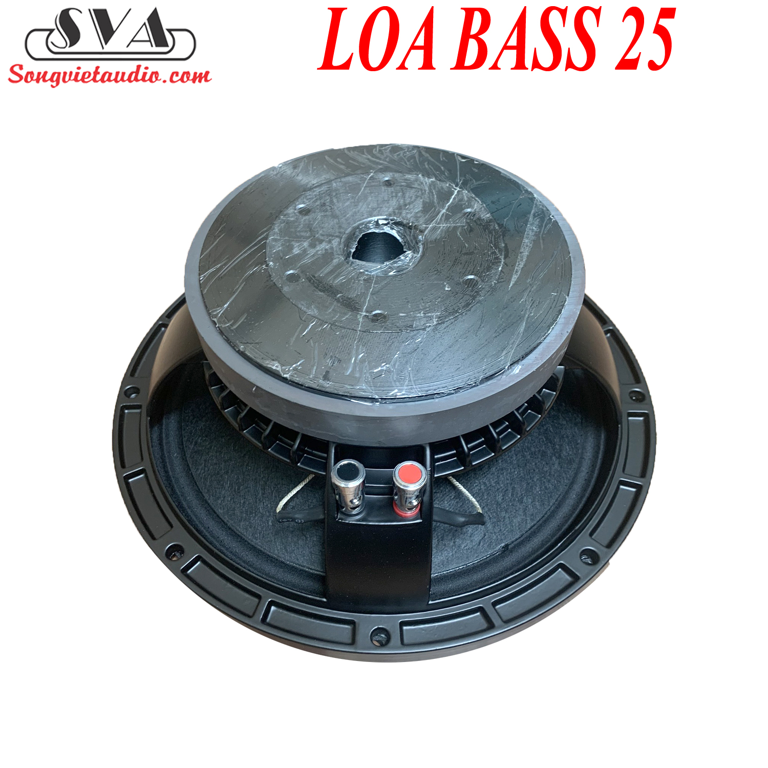 LOA BASS 25 COIL 65 TỪ 156 - AZ20 - 1 CẶP