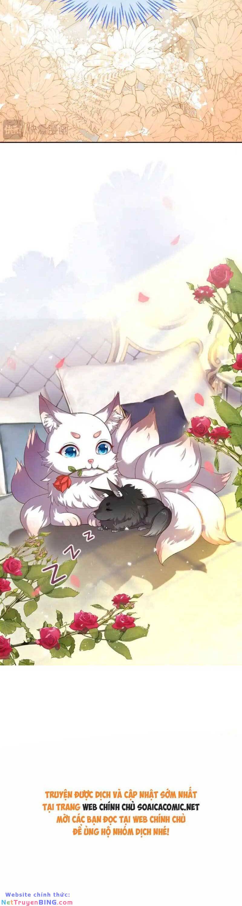kết hôn với người quyền lực nhất hành tinh chapter 27 24