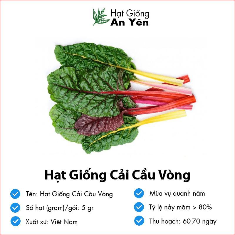 Hạt giống Cải Cầu Vòng, nhanh thu hoạch, dễ trồng, nảy mầm và năng suất cao