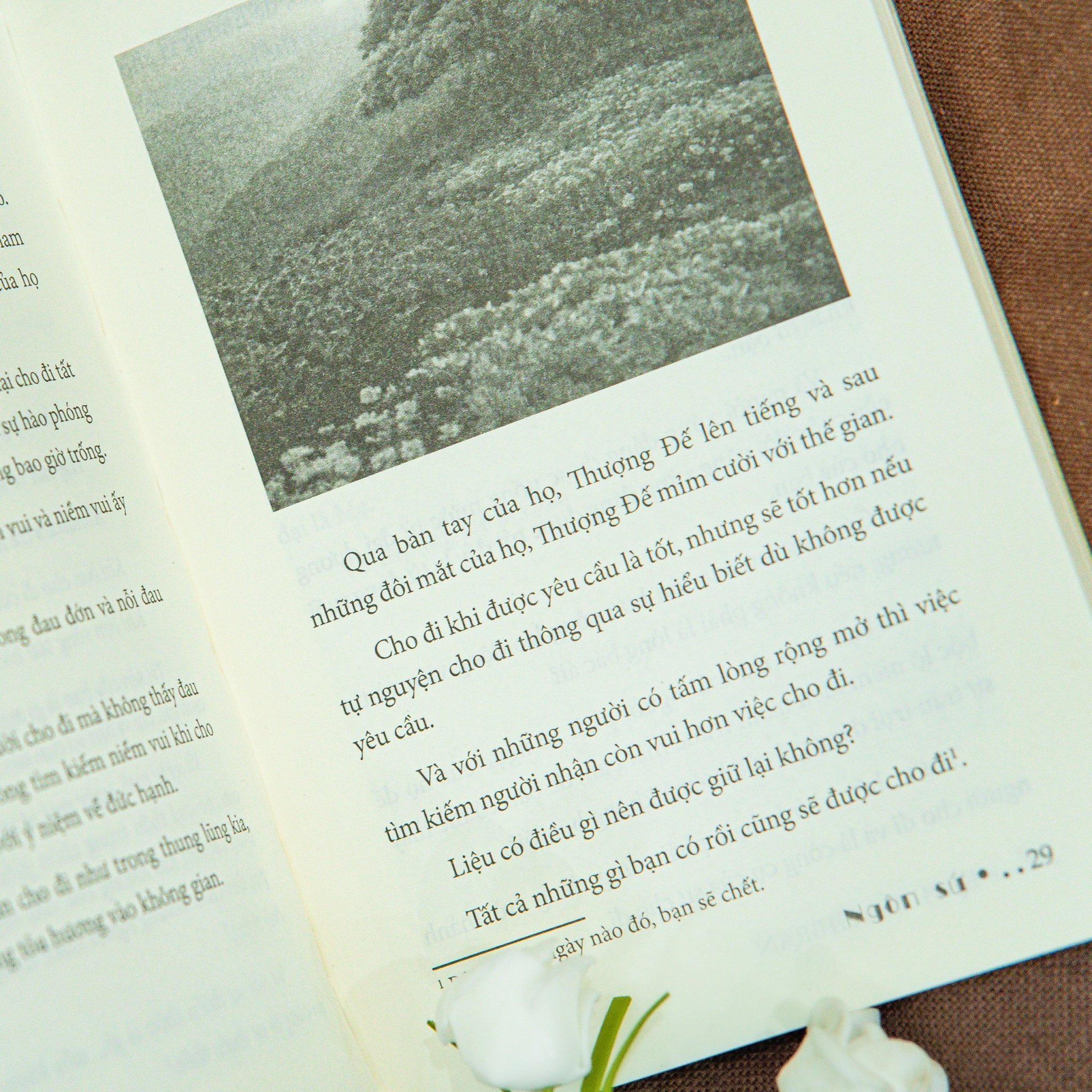 Sách Ngôn Sứ ( The Prophet ) sách tôn giáo tâm linh nghệ thuật sống đẹp - Hiệu sách Genbooks, bìa mềm, in màu