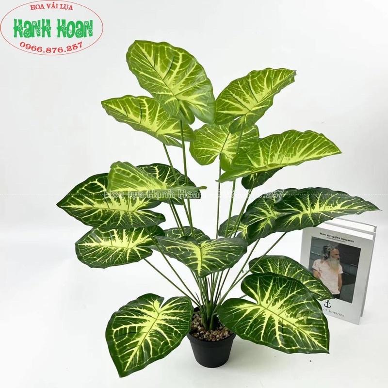 CÂY 18 LÁ CÁC LOẠI (MONSTERA, CHUỐI, LÁ MÔN,..) CAO 80CM- CÂY GIẢ DERCOR