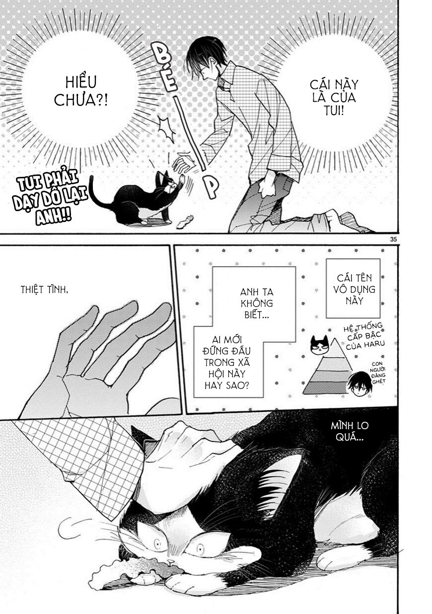 doukyonin wa hiza, tokidoki, atama no ue chapter 3 8