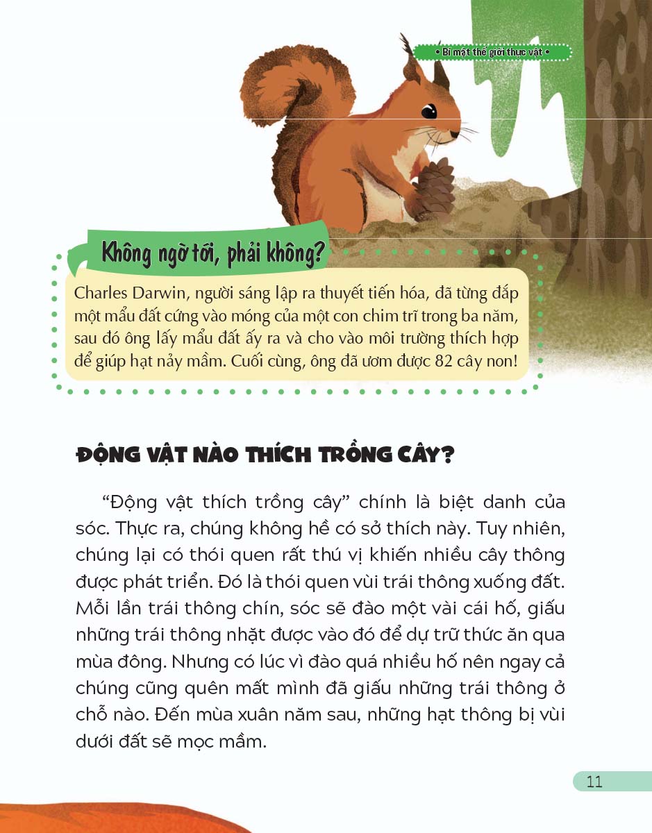 10 Vạn Câu Hỏi Vì Sao - Bí Mật Thế Giới Thực Vật _LL