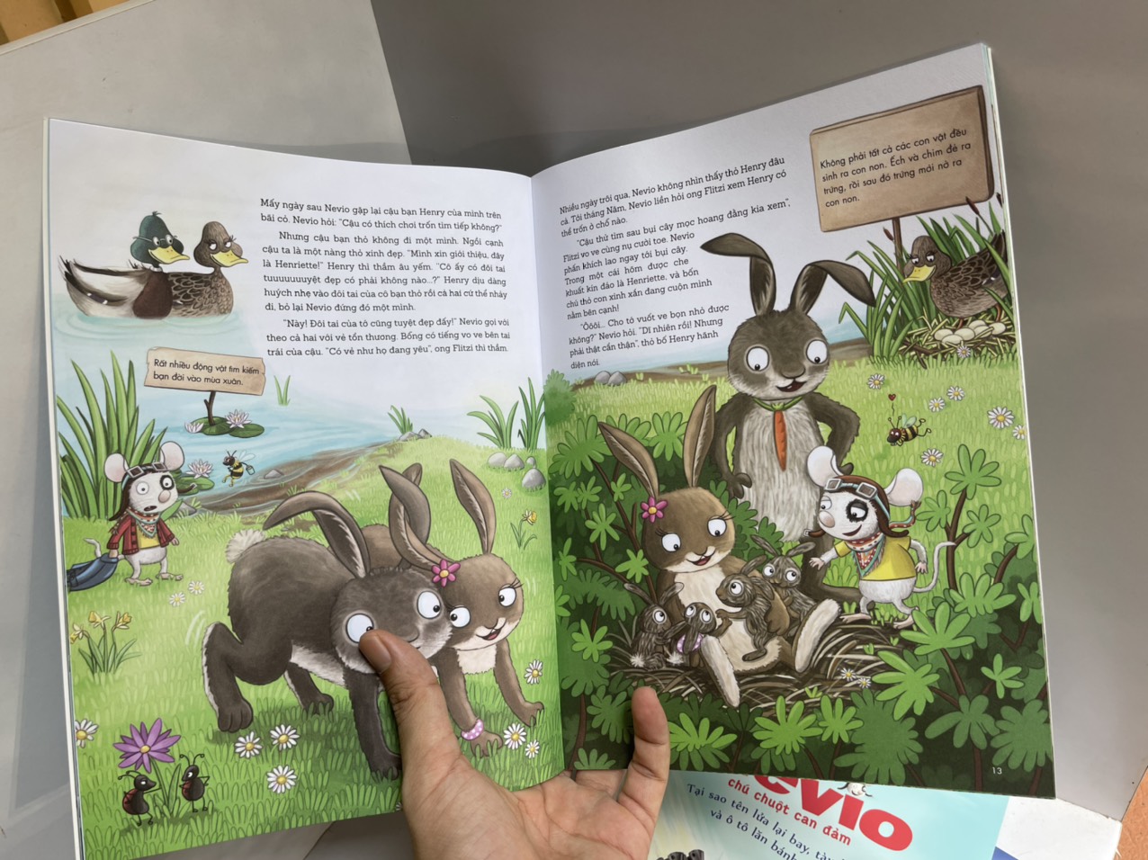 BỘ 5 CUỐN SÁCH NEVIO – CHÚ CHUỘT CAN ĐẢM - Matthias von Bornstädt - Hạnh Dung dịch - Thái Hà - NXB Lao Động