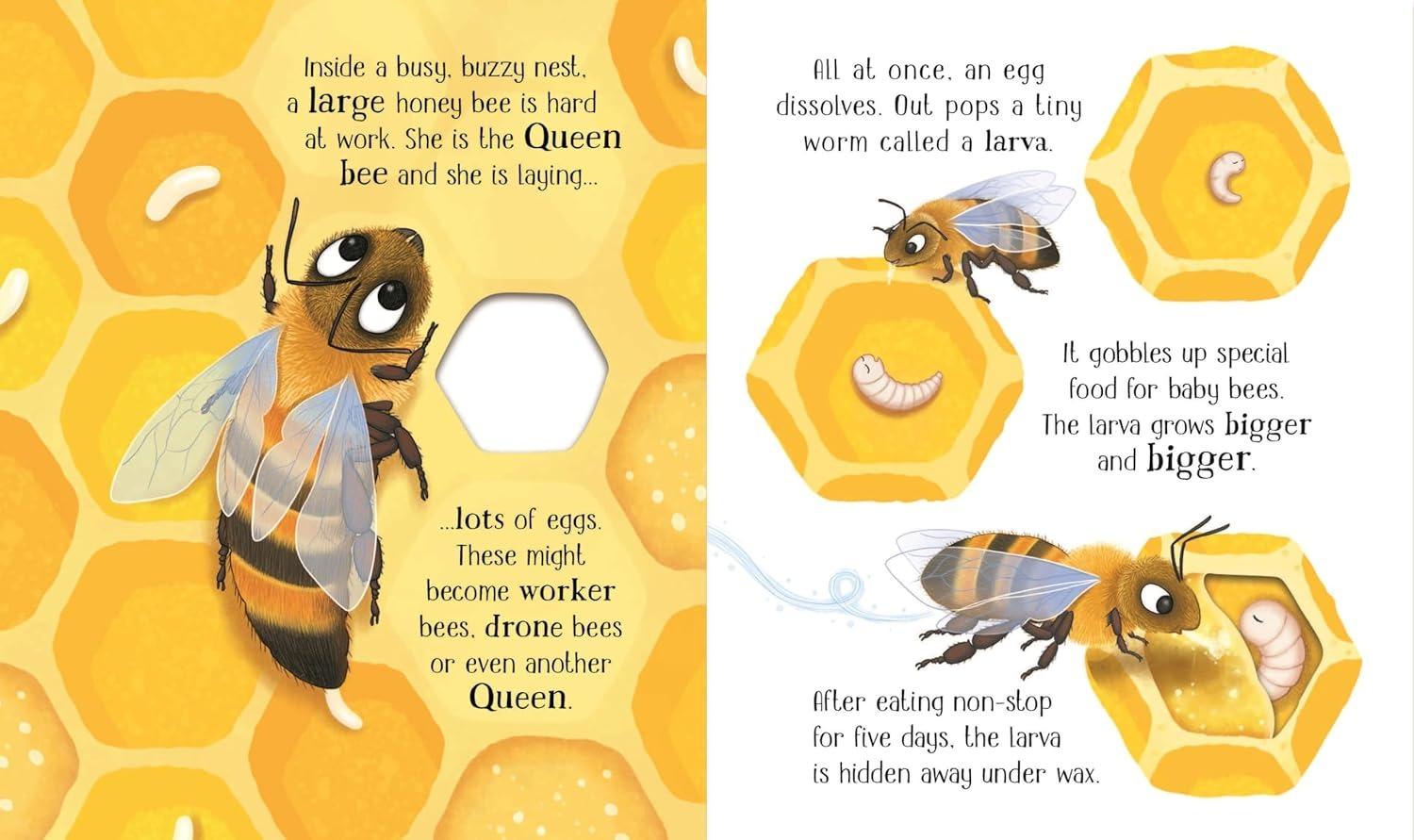 Sách ngoại văn: One Little Bee