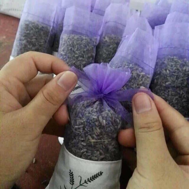 Nụ hoa lavender