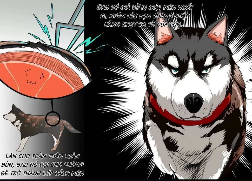 một con chó chapter 61 1