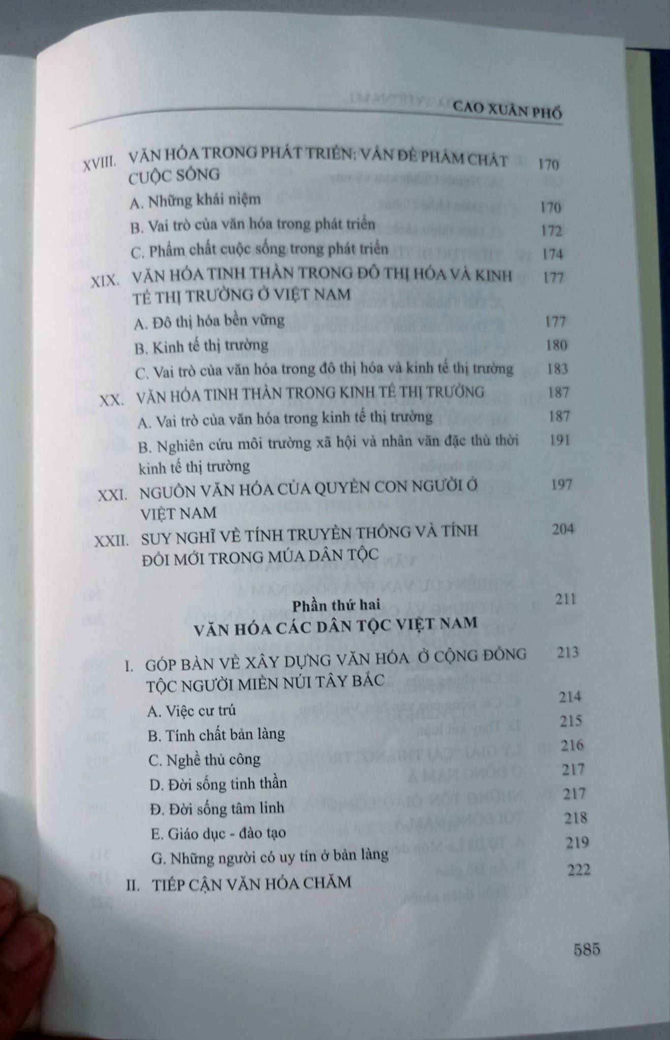 BÀN VỀ VĂN HOÁ VIỆT NAM VÀ ĐÔNG NAM Á - IN 300C