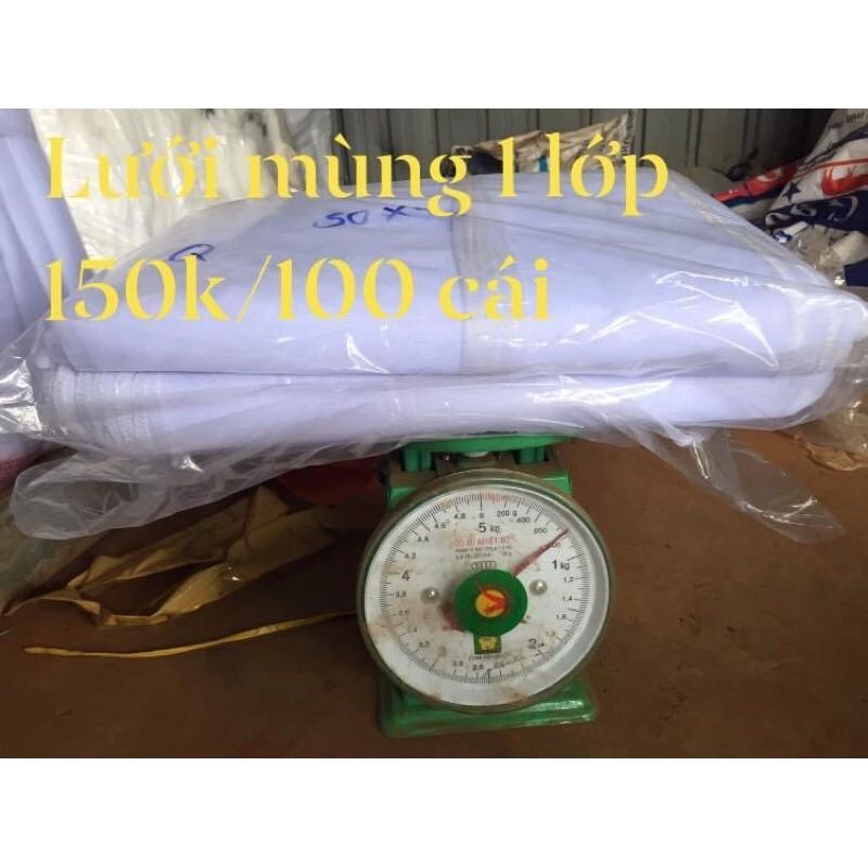 100 BỌC BƯỞI LƯỚI MÙNG 2 LỚP CỠ 30x40