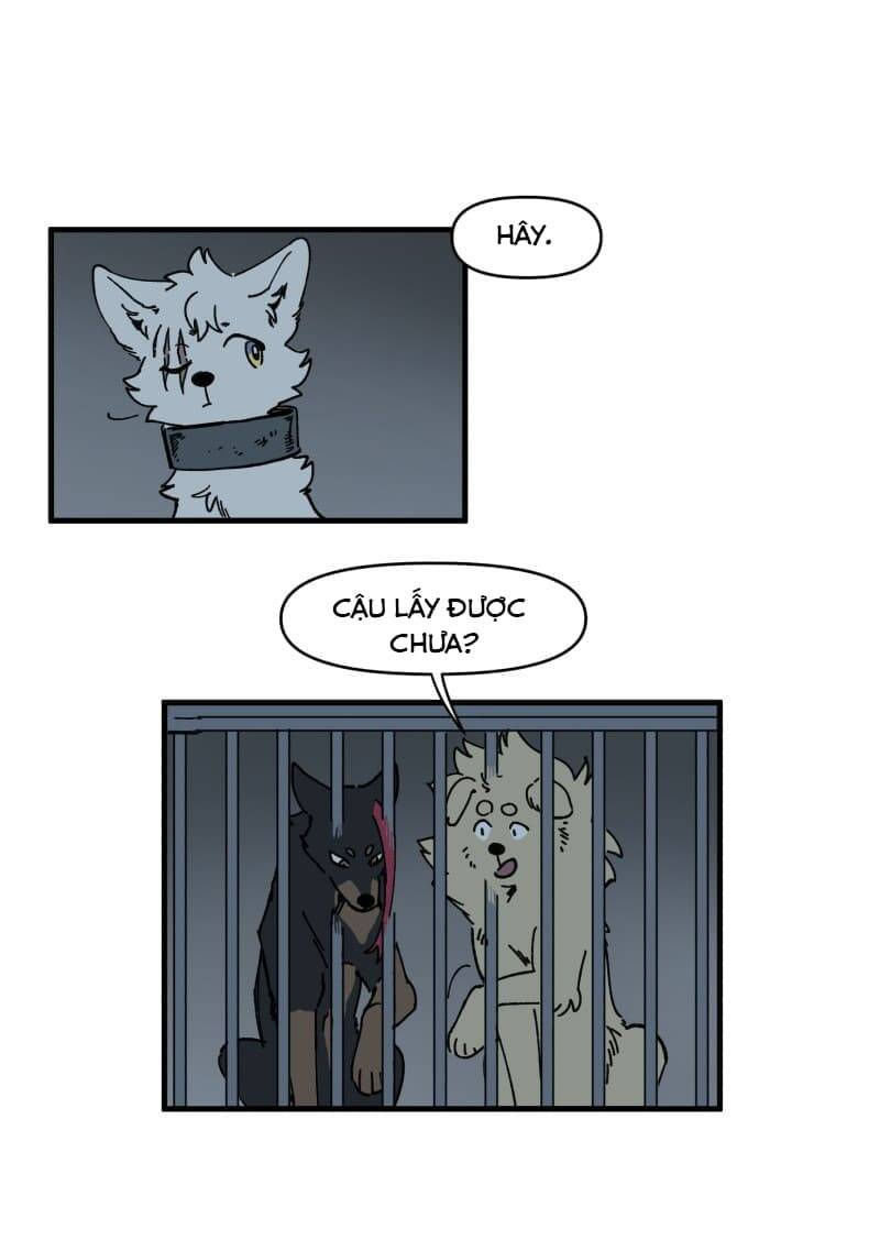 lumine - cội nguồn ánh sáng chapter 145 17