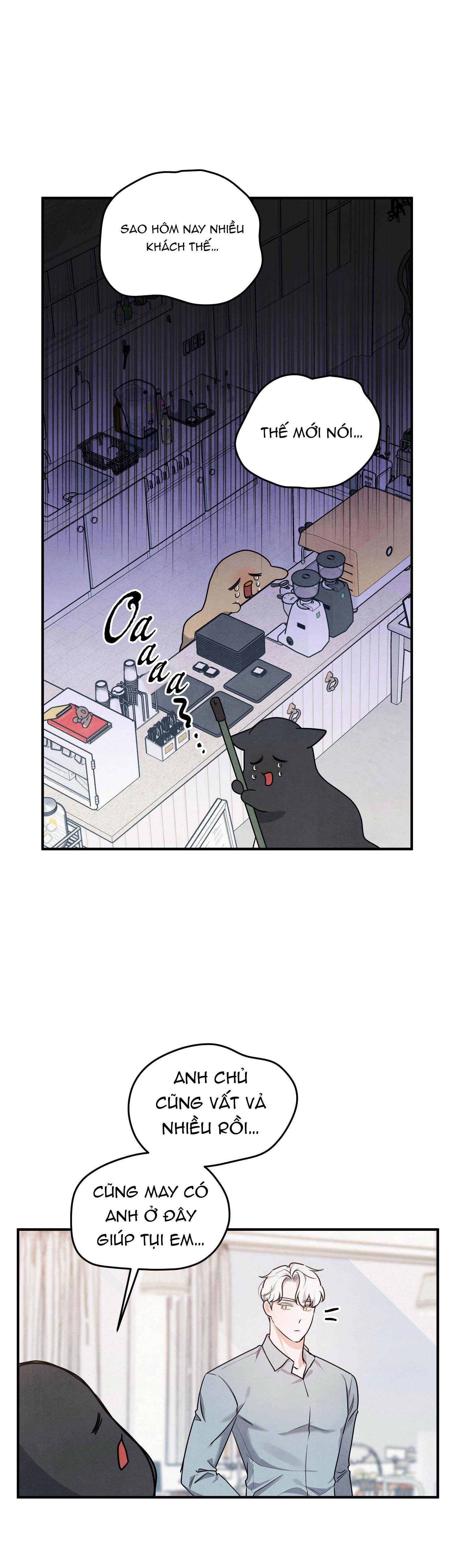 mối quan hệ ngu ngốc chapter 10 1