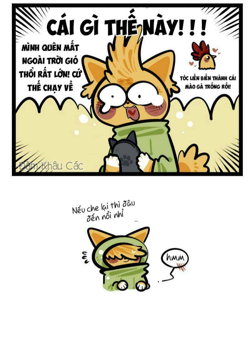 đời không như mình tưởng chapter 66 9