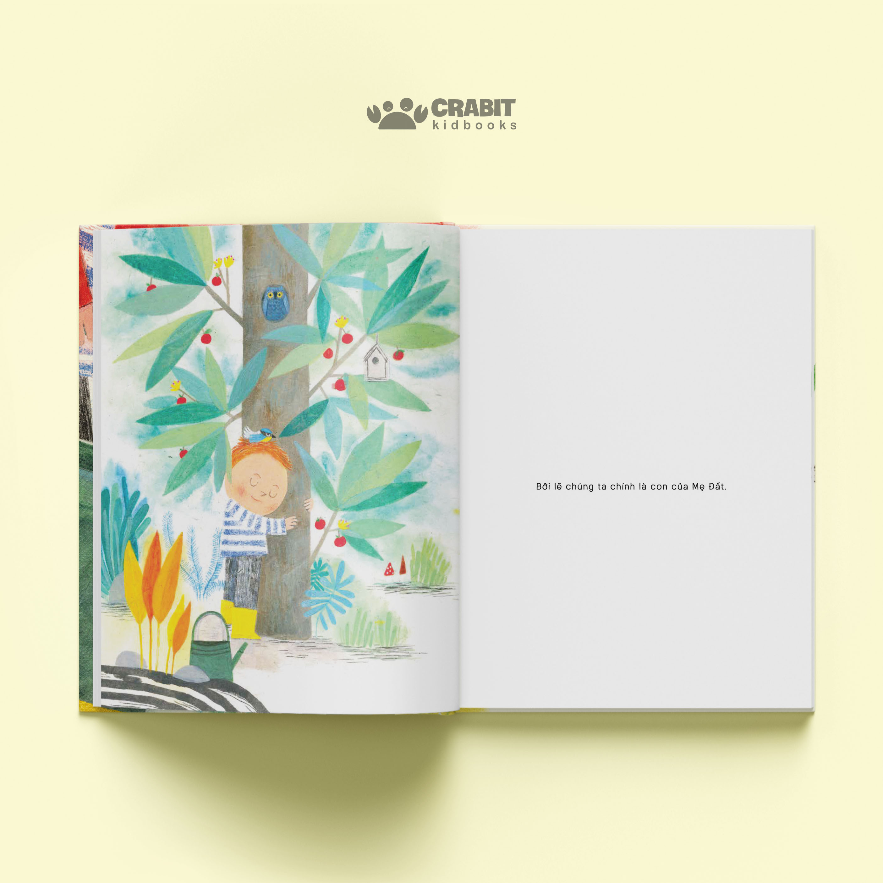 Sách - Mình là một cái cây - Crabit Kidbooks