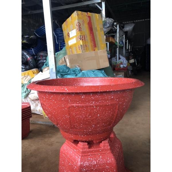 1 CHẬU T58 Miệng 57cm x cao 28cm