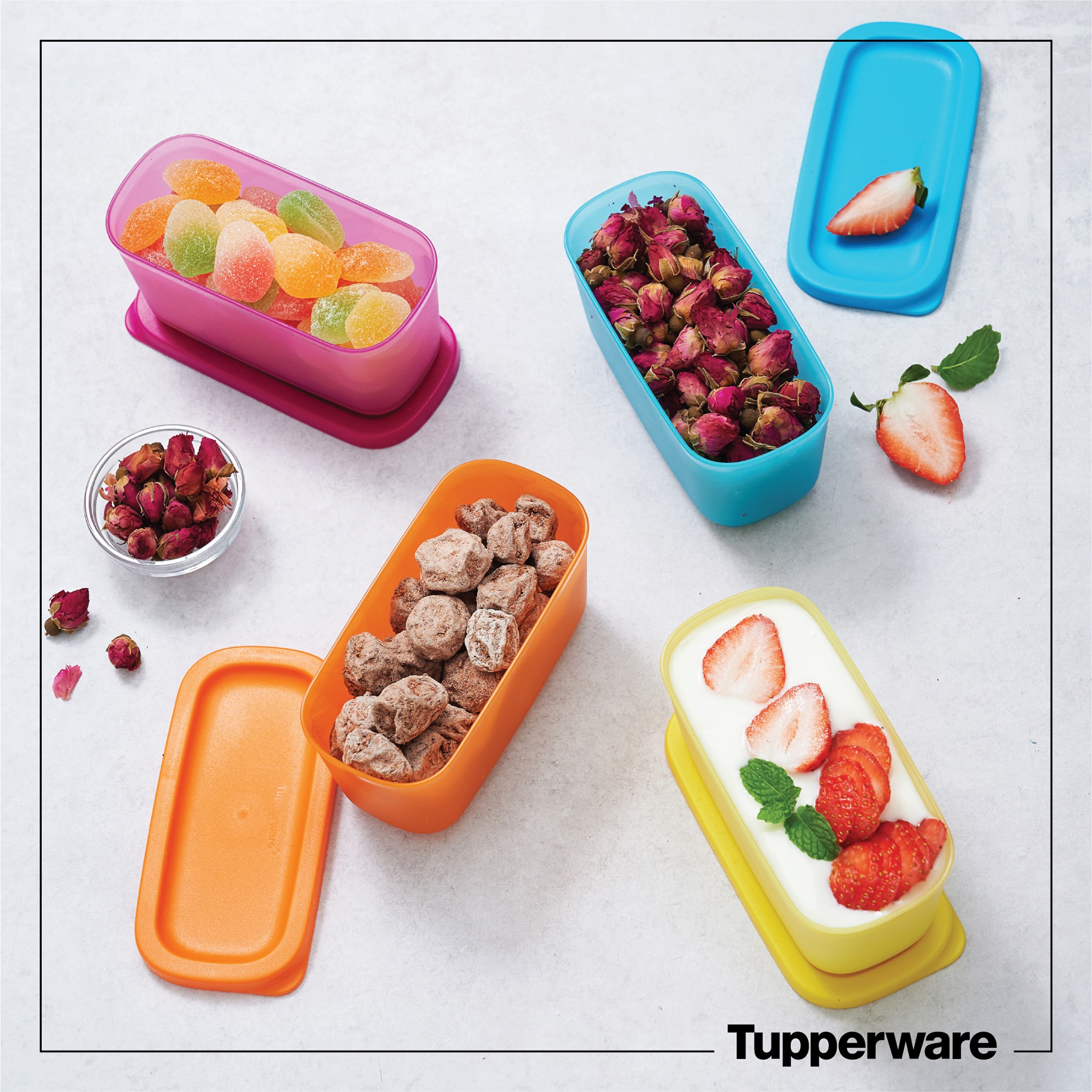 Bộ hộp Trữ Đông Tupperware Mini Rectangular 250ML (4)