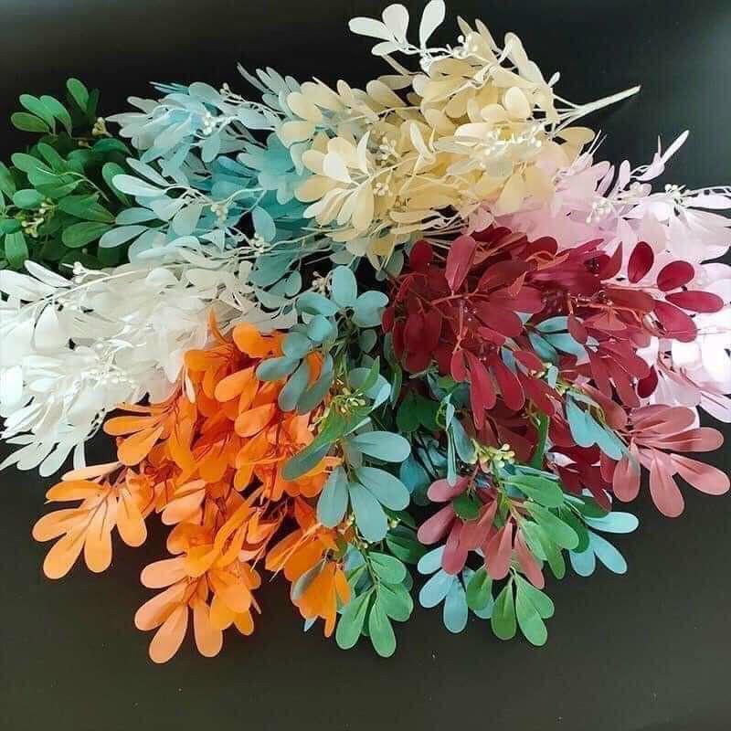Chùm lá thanh mai - Lá giả
