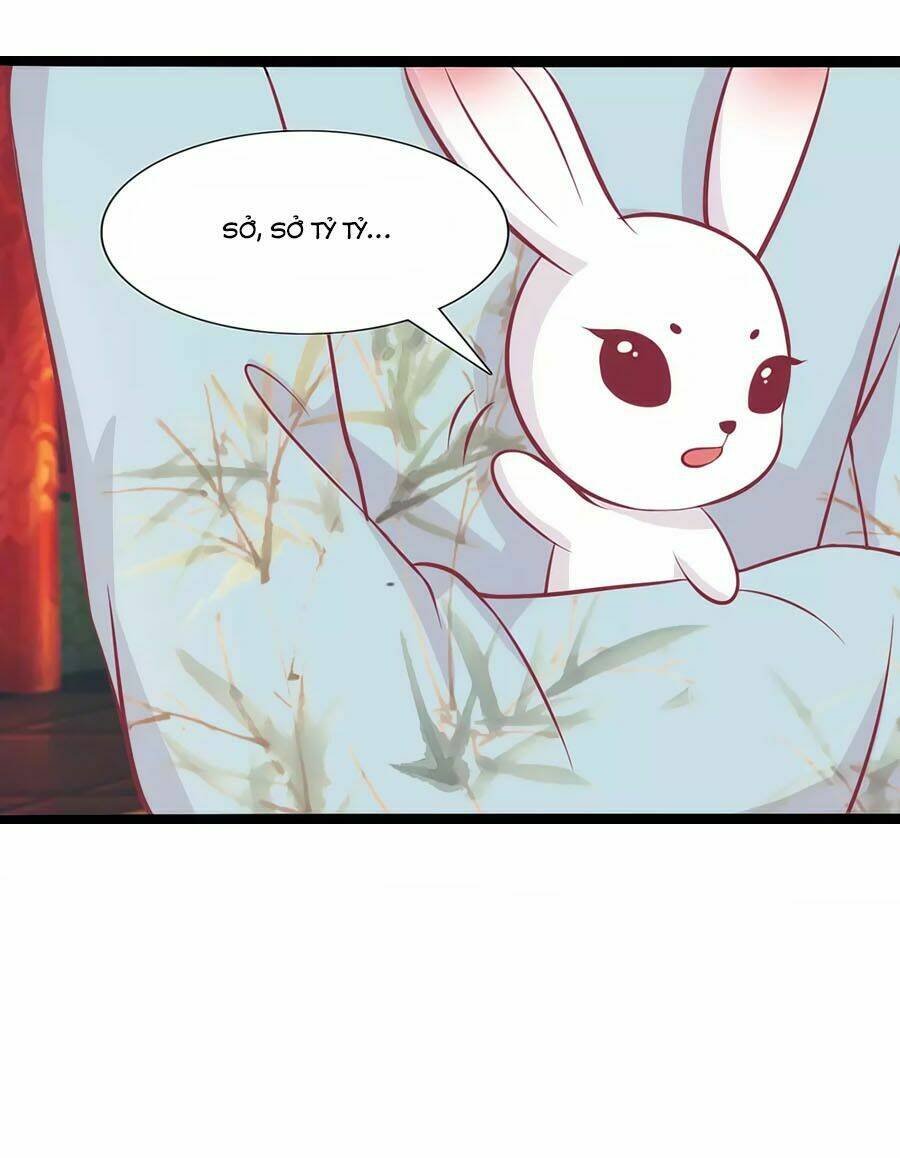 thỏ yêu tiểu vương phi chapter 79 20