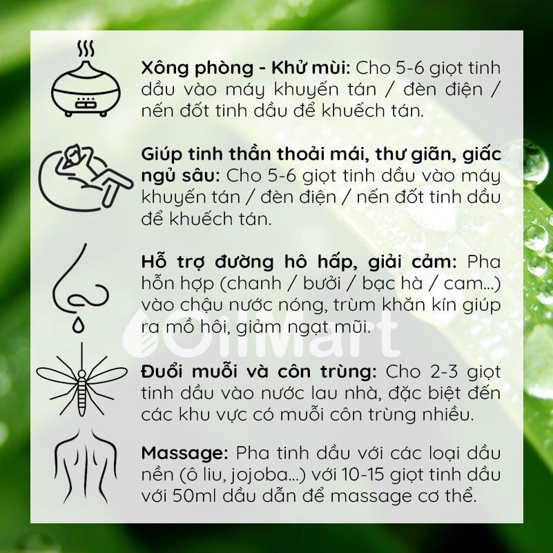 Dầu Hạt Chùm Ngây Aroma Works Moringa Seed Oil