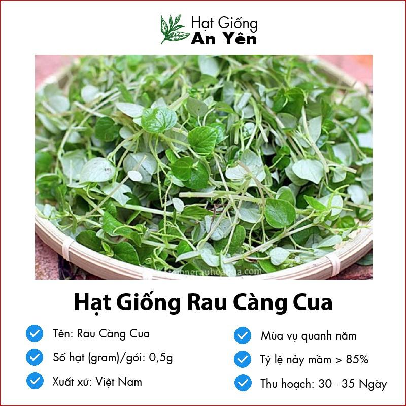 Hạt giống Rau Càng Cua thu hoạch sớm, dễ trồng, nảy mầm cao, sinh trưởng khoẻ