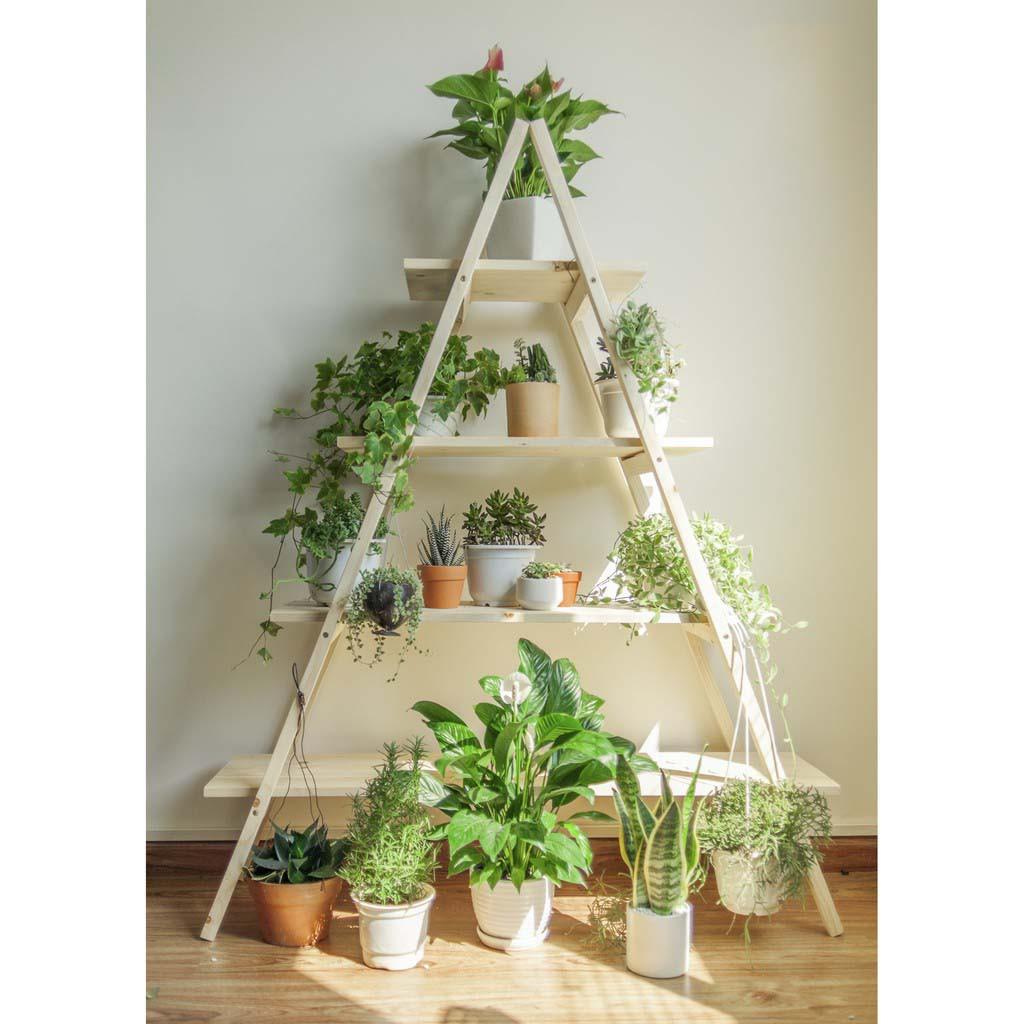 Kệ 2 Thang Tam Giác/ Kệ Gỗ Thông Để Cây, Trang Trí Nhà Cửa+++Trọng Lượng Nhẹ Dễ Lắp
