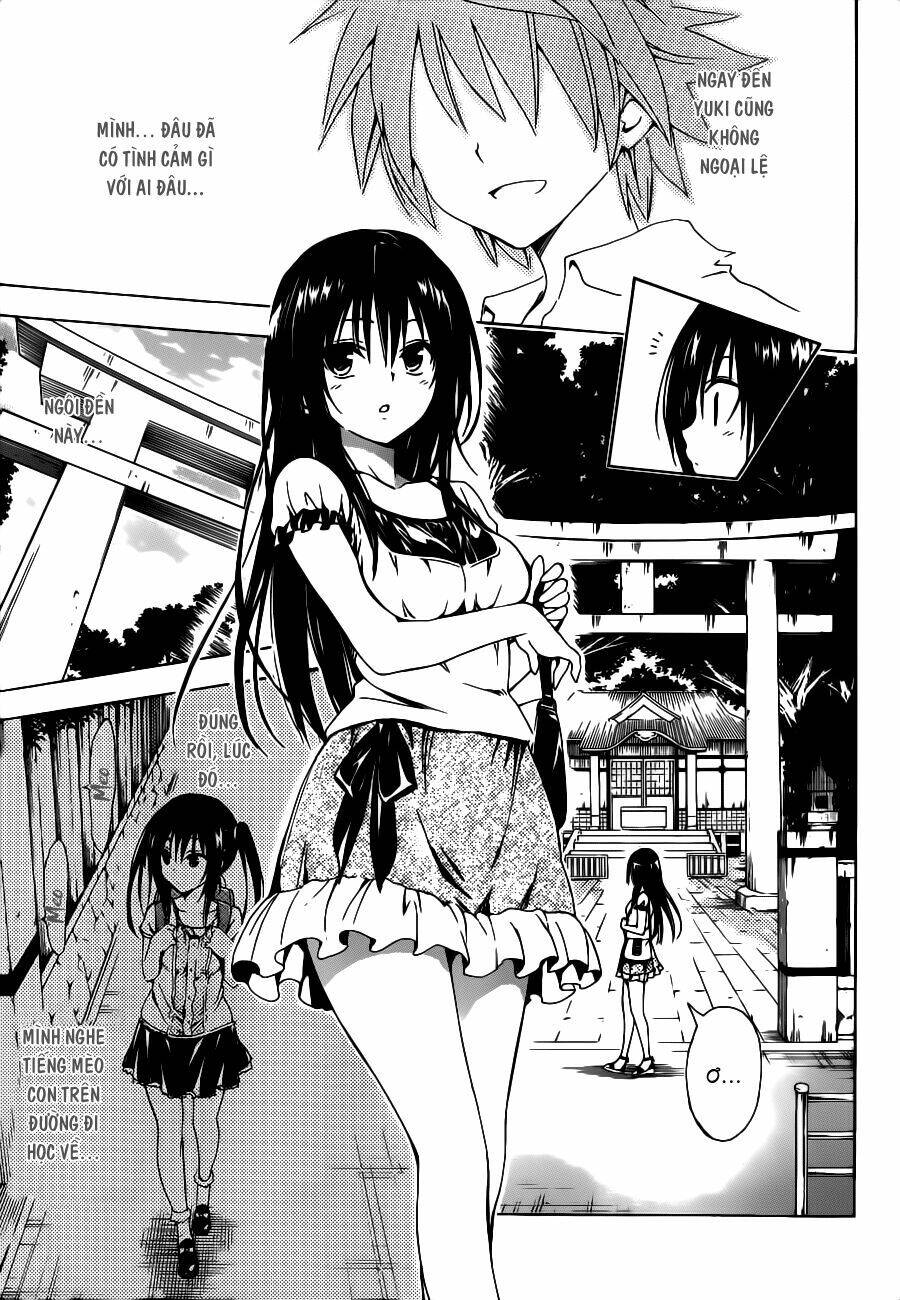 bọn tớ thích cậu! rito 2 - venus chapter 25 6