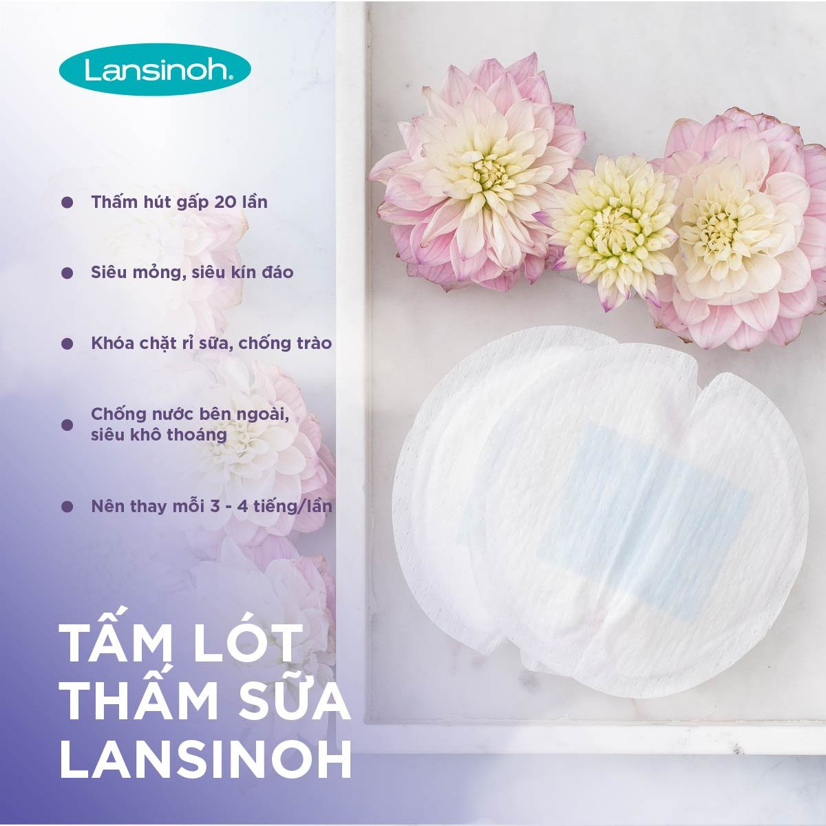 Tấm lót thấm sữa Lansinoh (24 miếng/hộp)