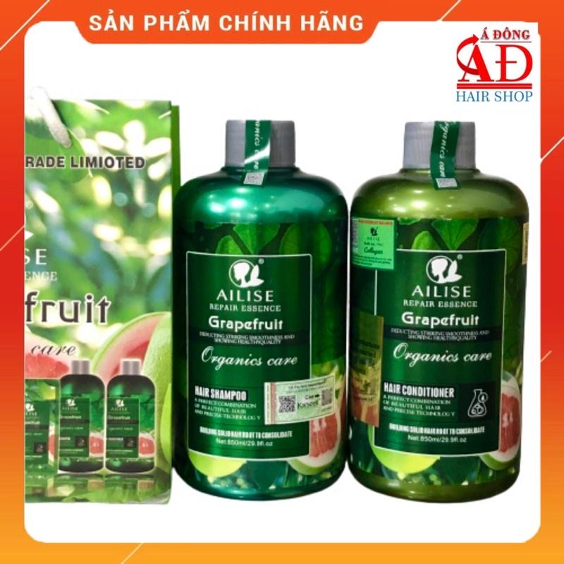 Bộ dầu gội xả hấp Ailise Grapefruit siêu mượt phục hồi kích thích mọc tóc - Bưởi lùn