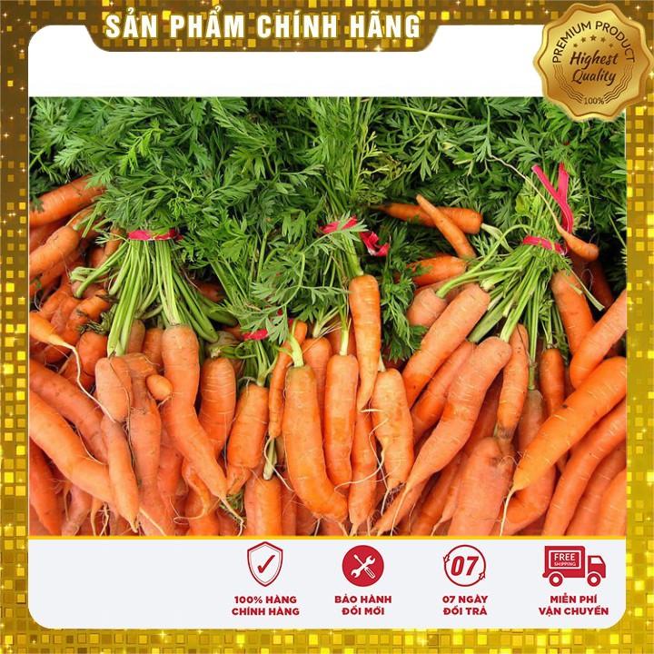 HẠT GIỐNG CỦ CÀ RỐT MINI hạt giống cây cà rốt tí hon