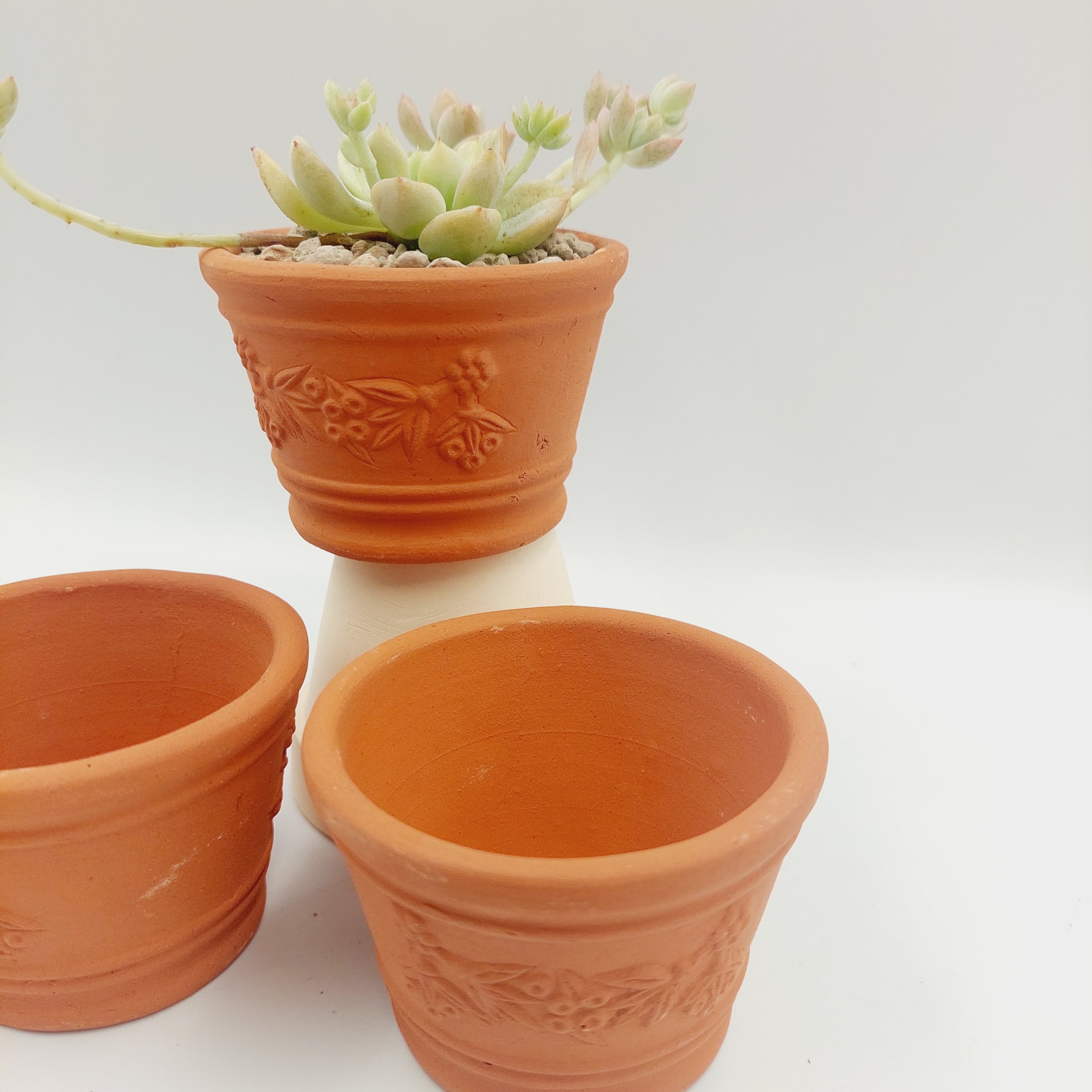 Chậu đất nung, chậu sen đá - Ly dây chùm nho 755, miệng chậu 7.5cm, chiều cao 5cm