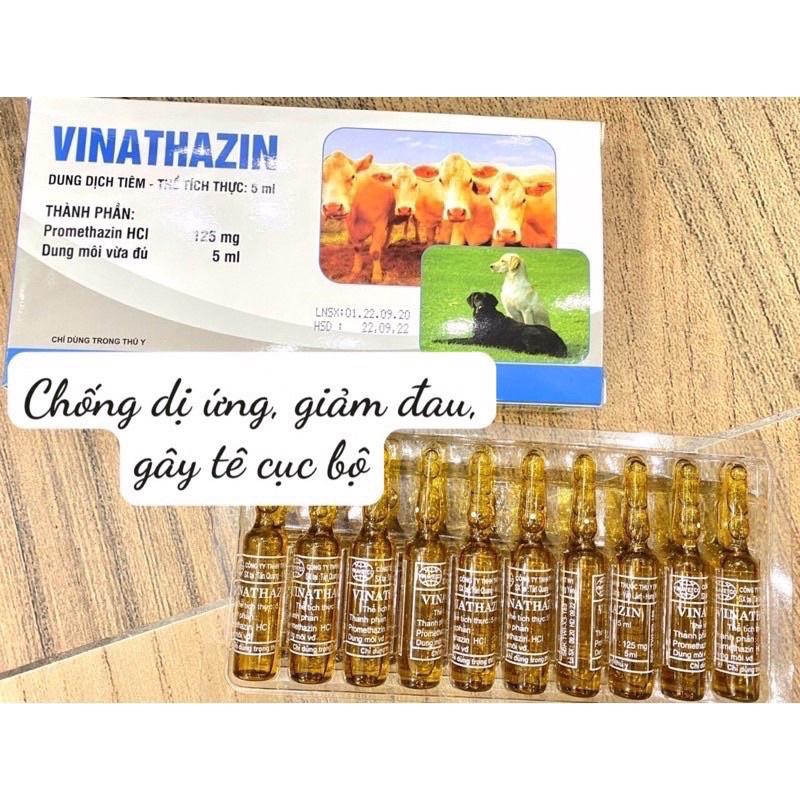[ THÚ Y ] 1 ống VINATHAZIN chống dị ứng, giảm đau, gây tê cục bộ dùng cho trâu bò lợn chó mèo