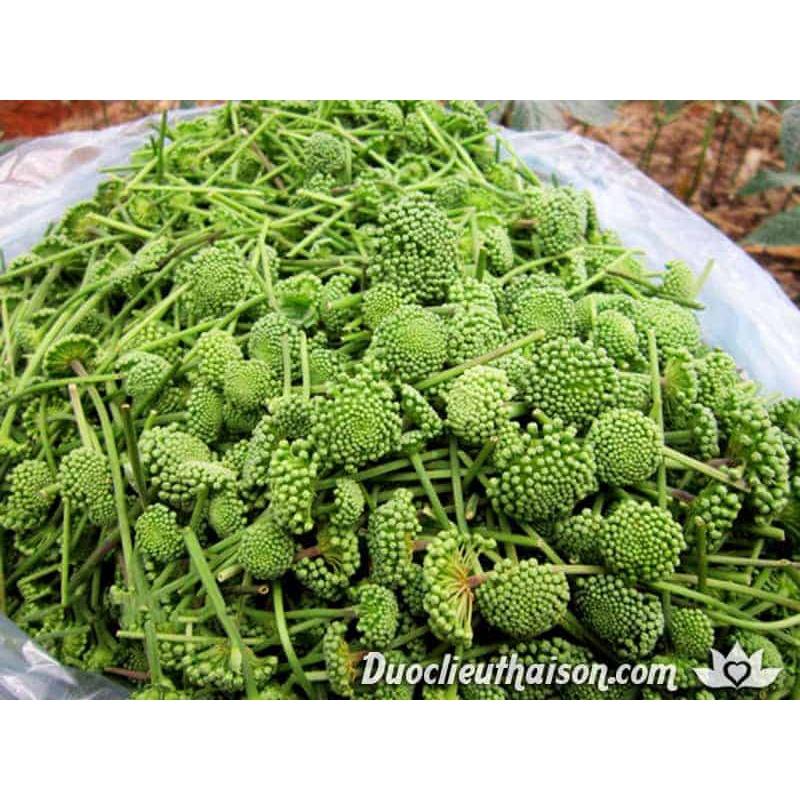 Nụ hoa Tam Thất Bắc sạch loại 1 500g