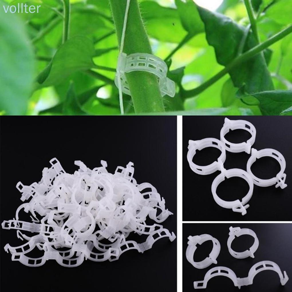 50PCS/Set Reusable Plastic Plant Support Clips Plants Hanging Vine Garden Greenhouse Vegetables Tomatoes Clip -VOLLTER