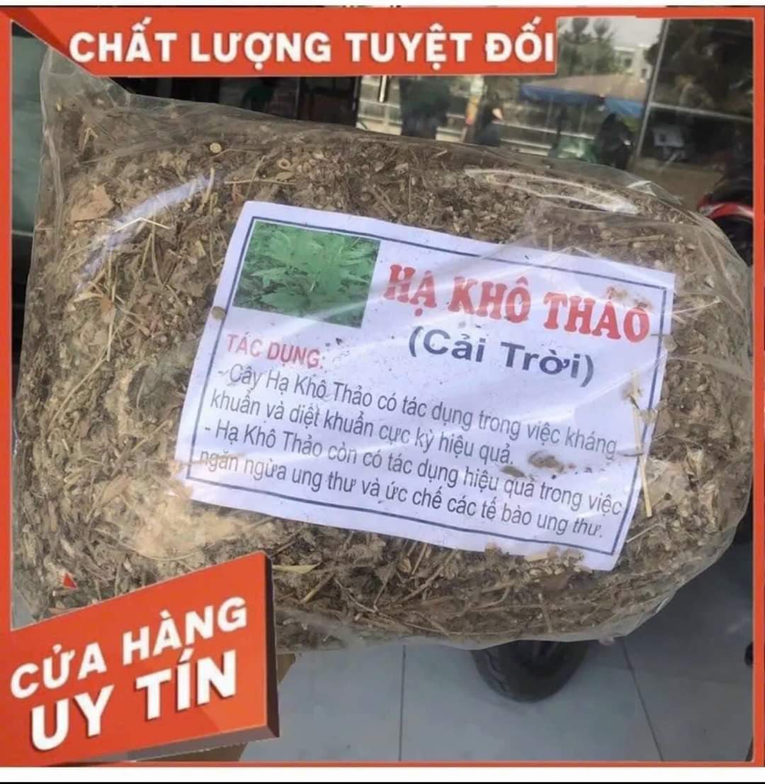 Cây cải trời sấy khô gói 1kg