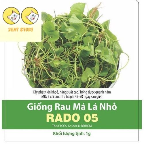 Hạt Giống Rau Má Lá Nhỏ RADO 05- 1gr Dạng lá nhỏ, là dòng rau má đồng chọn lọc tự nhiên, chất lượng ăn ngon TH 30-35