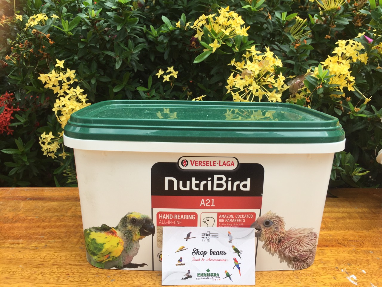 Bột A21, A19 Nutri Bird dinh dưỡng cho chim non