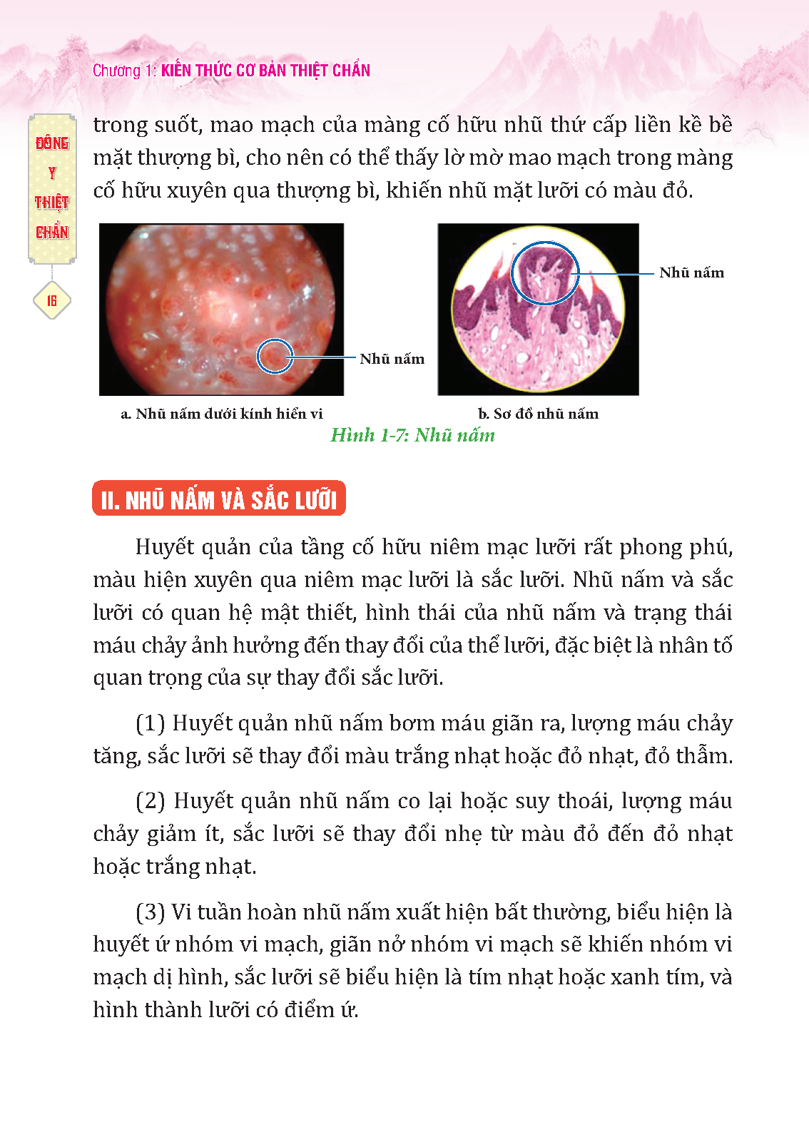 Đông Y Thiệt Chẩn (Tái Bản 2023)