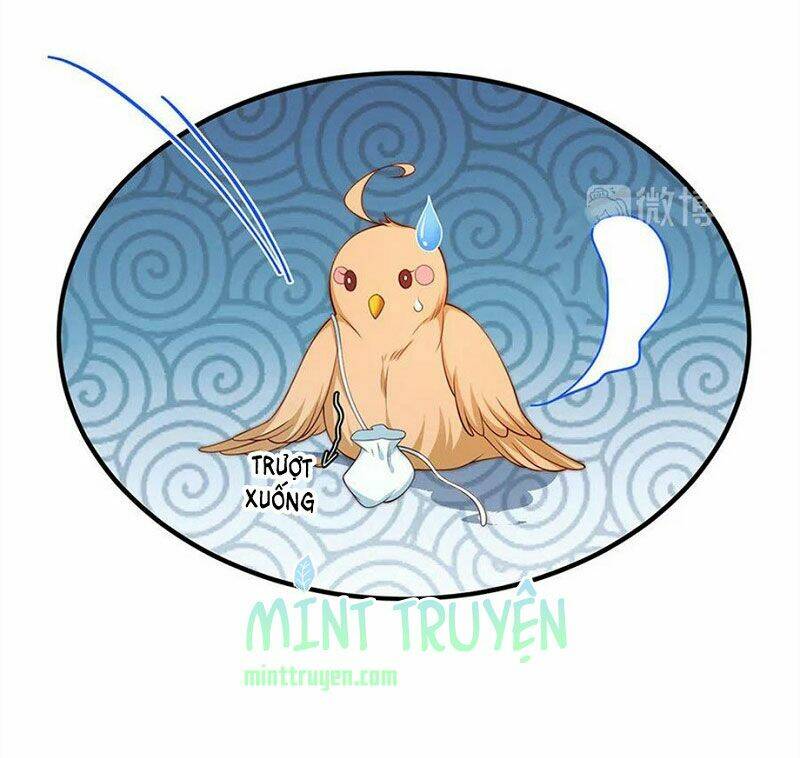 nam thần truy thê chỉ nam chapter 107.1 5