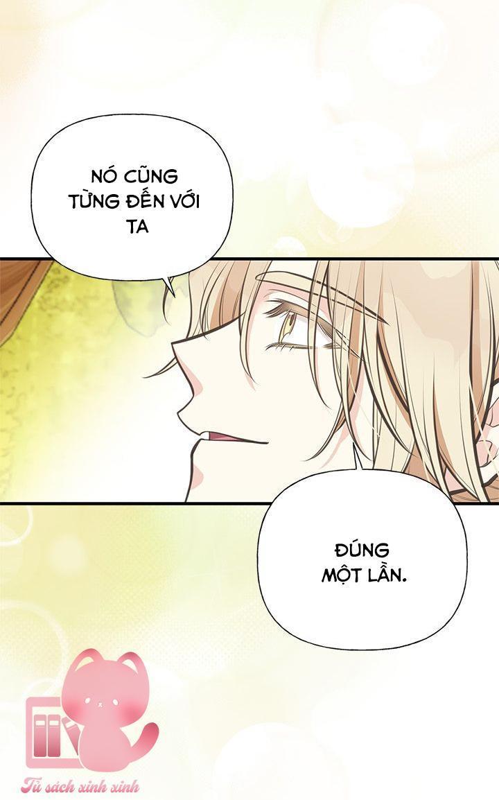 chị tôi nhặt về nam chính của tiểu thuyết chapter 71 18